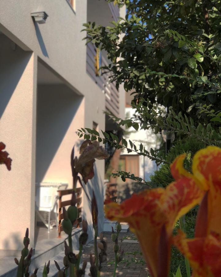 Hotel Athina Velipojë 외부 사진
